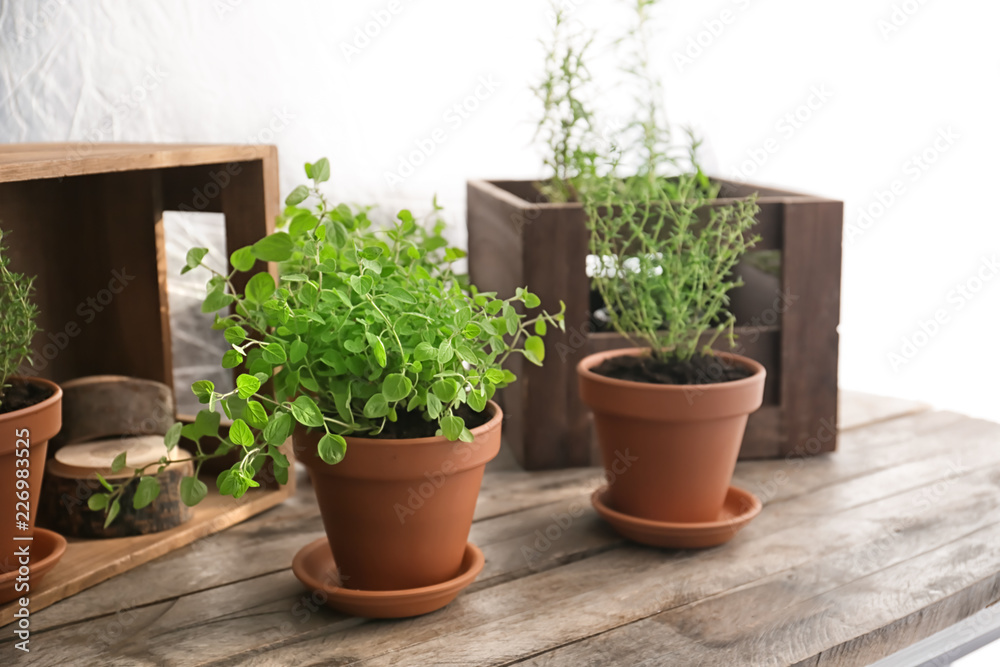 Pots with fresh aromatic herbs on wooden table