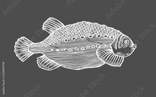Ink sketch of fish