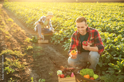 Happy farmers harvesting fr...