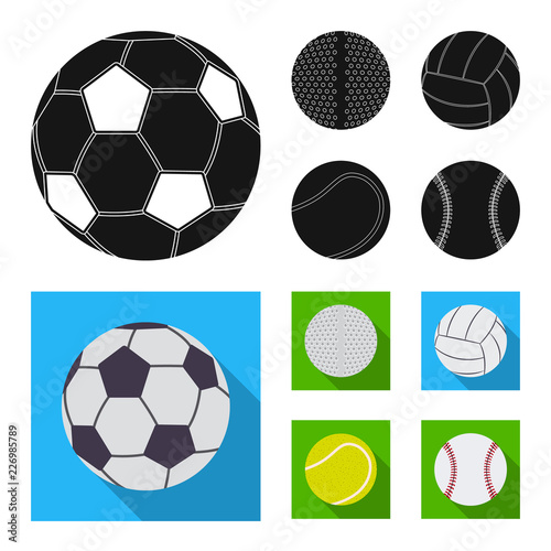 Isolated object of sport and ball sign. Collection of sport and athletic vector icon for stock.