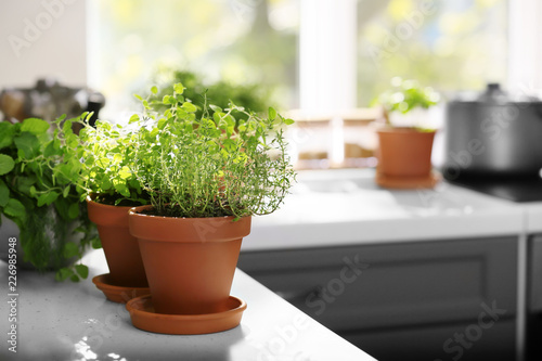 Pots with fresh aromatic herbs on white table in kitchen