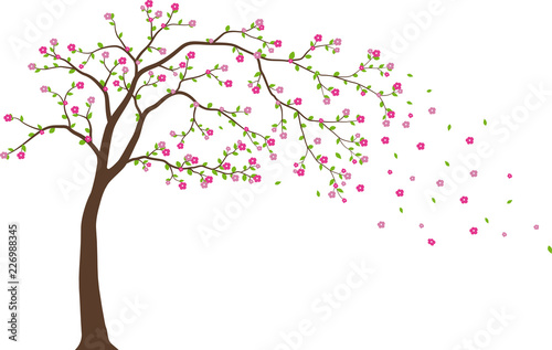 Beautiful tree branch with birds silhouette background for wallpaper sticker