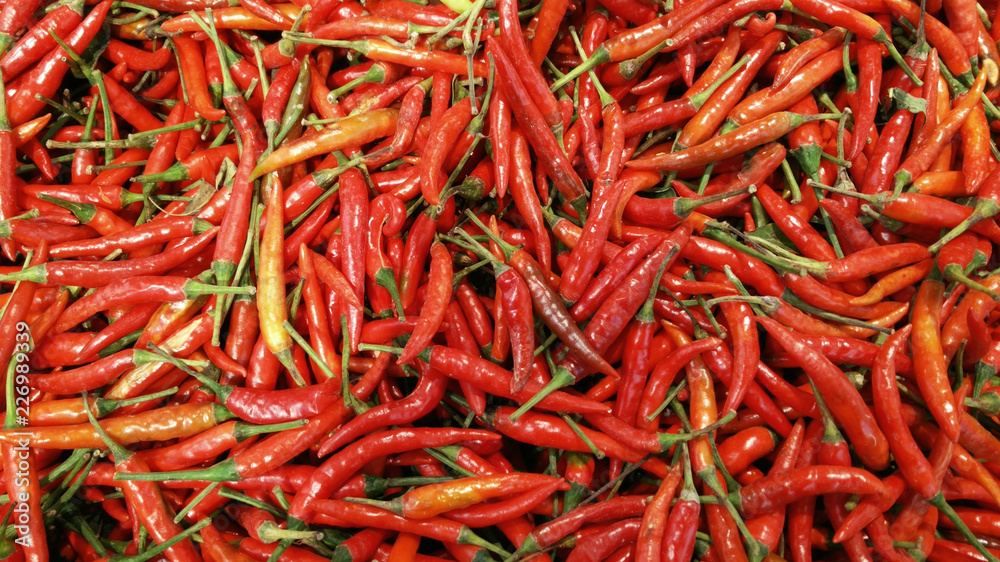 Red Chilies Background,Selective focus. Hot chili peppers pattern texture background.