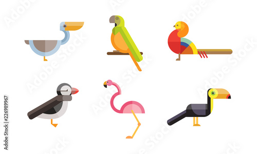 Birds set, toucan, pelican, flamingo, parrot bird, colorful polygonal low poly geometric design vvector Illustrations on a white background