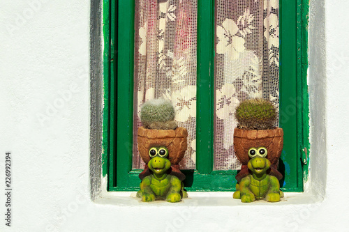 Cactuses in a frog-shaped pots by the window in a village in Santorini, Greece. photo