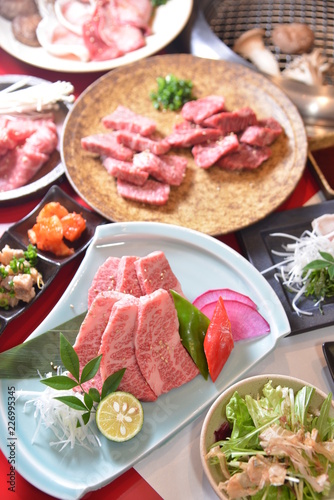 Toyama Japanese beef of Wafuuyakiniku Toyamasodachi