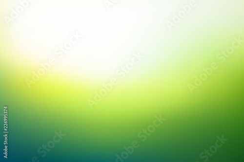 Abstract blurred background in green colors. Fresh grass under sunlight unfocused. Vector illustration