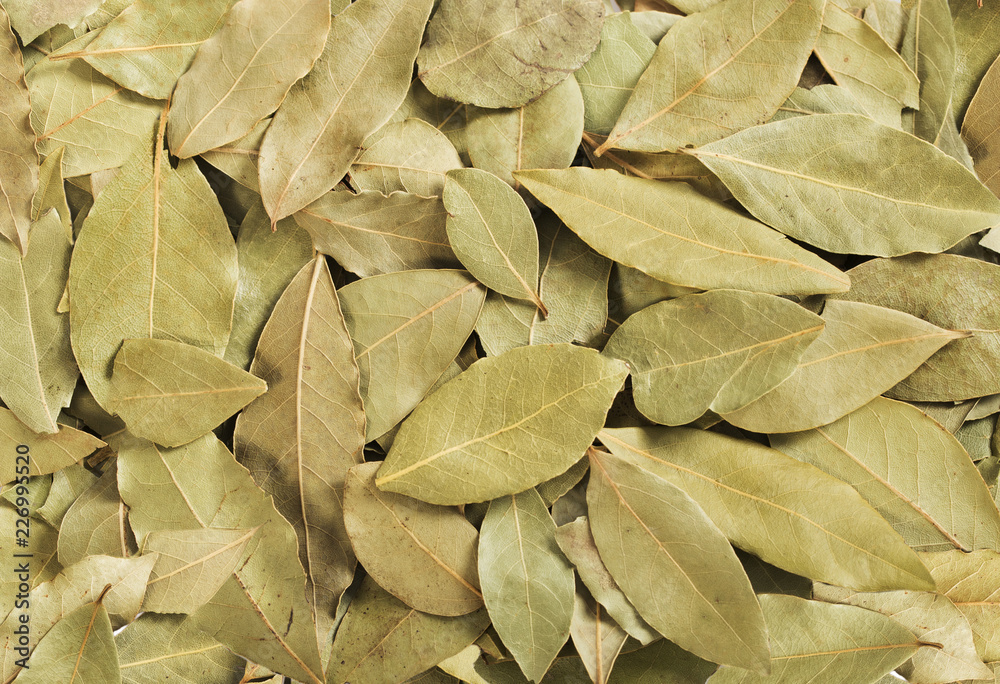 Dried bay leaves stack isolated on white. Dried bay leaves stack isolated on white.