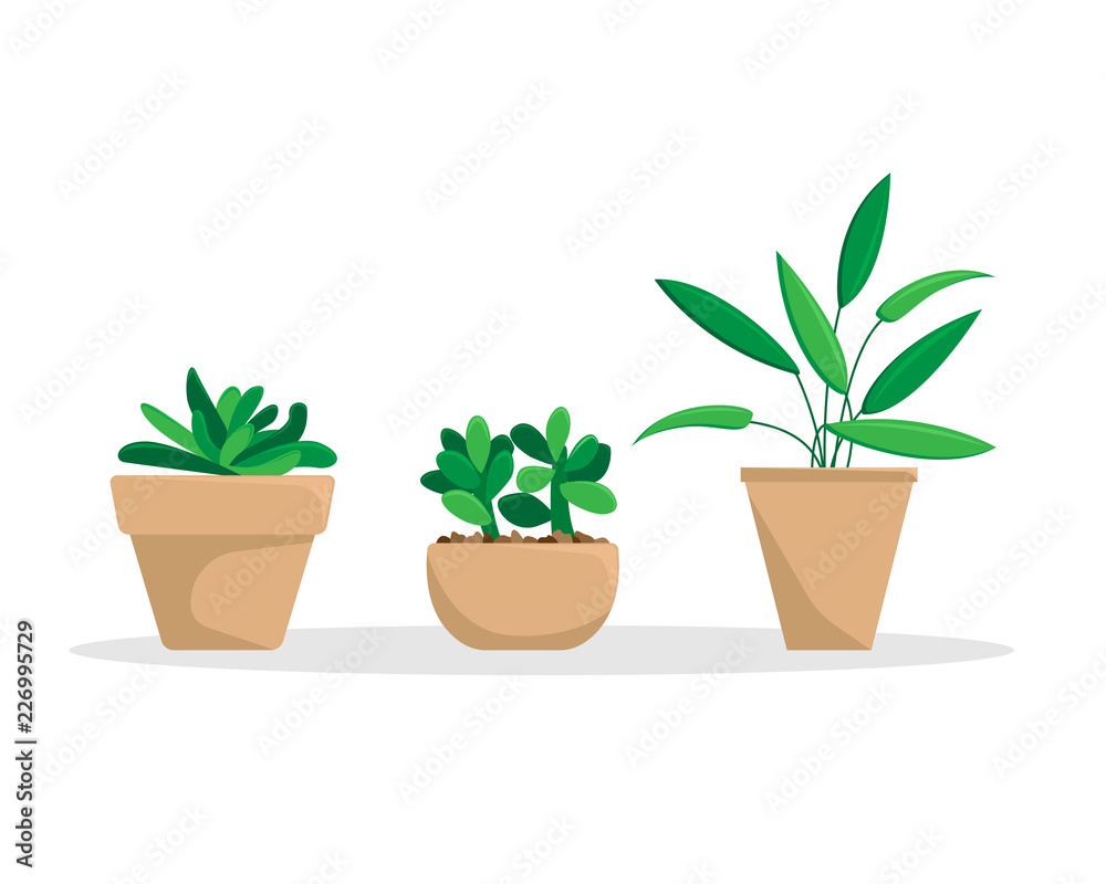 Set of three potted plants. Flat vector illustration.