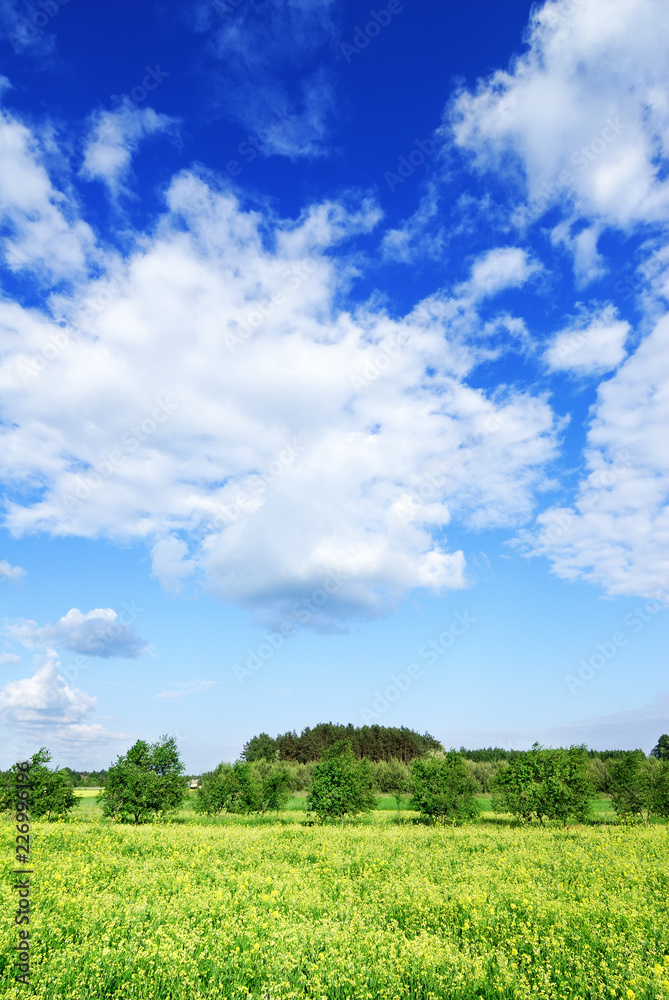 Idyllic view, green field and blue sky with white clouds Idyllic view, green field and blue sky with white clouds