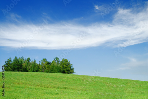 Idyllic landscape, view of green fields and blue sky