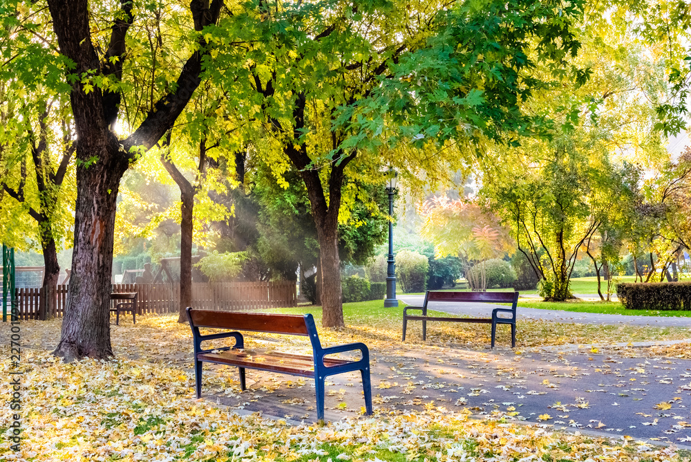 Autumn scene outdoor in Titulescu park of Brasov city, Romania