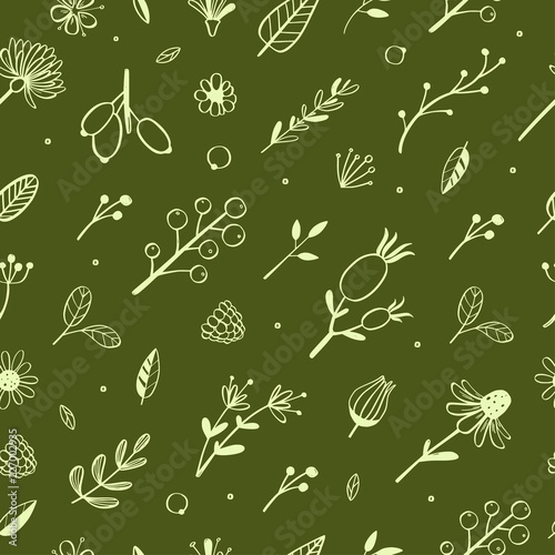 Herbal and floral vector doodle seamless pattern 4