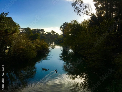 Golden Gate Park - San Francisco - 2018