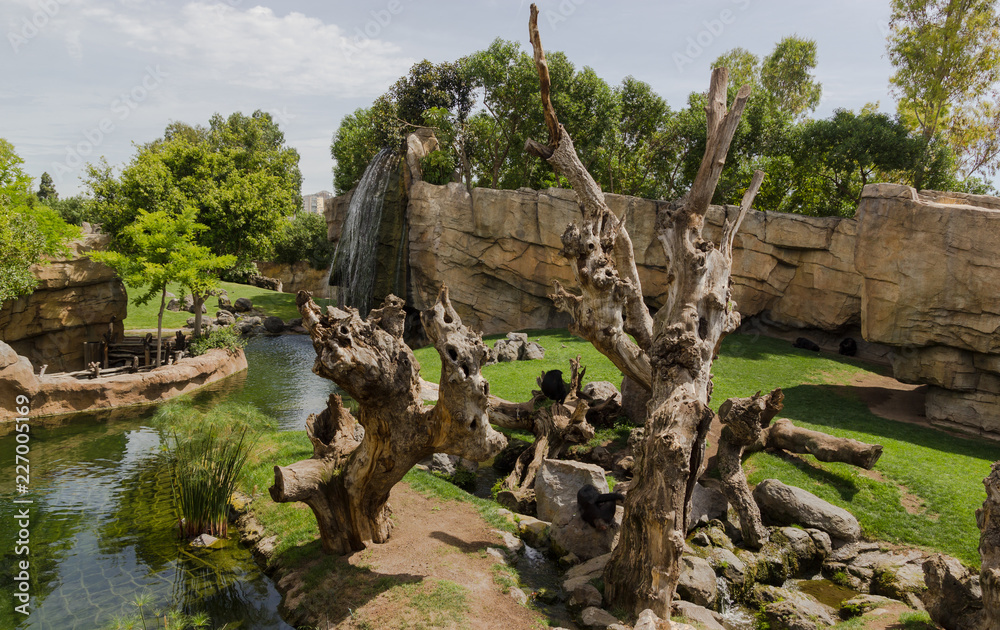 Landmark with water, stones, trees and green in zoo