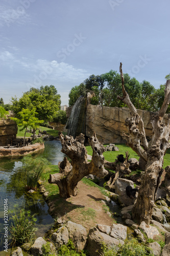 Landmark with water, stones, trees and green in zoo