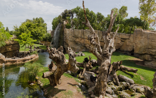 Landmark with water  stones  trees and green in zoo