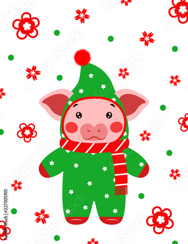 Happy new year cute pig postcard chinese. Symbol of the year 2019 vector illustrtion