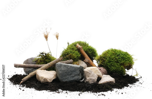 Green moss with decorative twigs and rocks isolated on white background