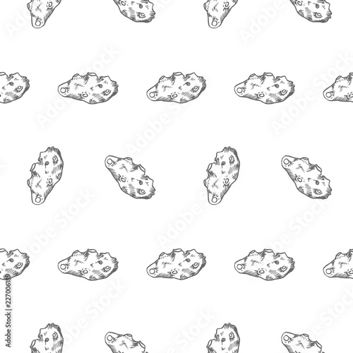 asteroid seamless pattern on white background, vector illustration