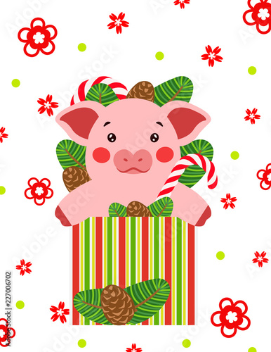 Happy new year cute pig in gift box postcard chinese. Symbol of the year 2019 vector illustrtion