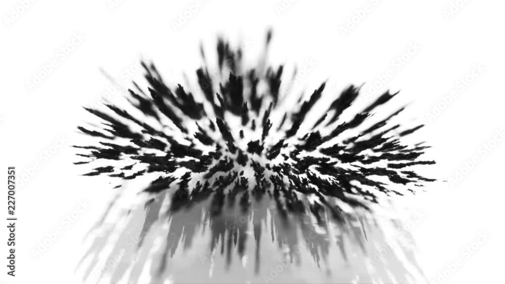 Bark Magnetic Iron Powder Experiment.