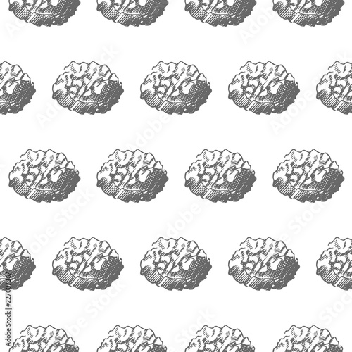 asteroid seamless pattern on white background, vector illustration