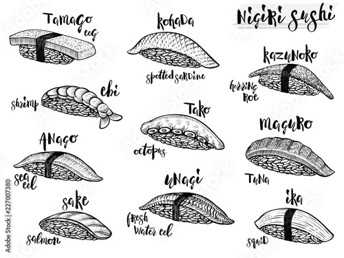 Nigiri sushi species. Isolated line sushi illustrations on white background. Japanese food.