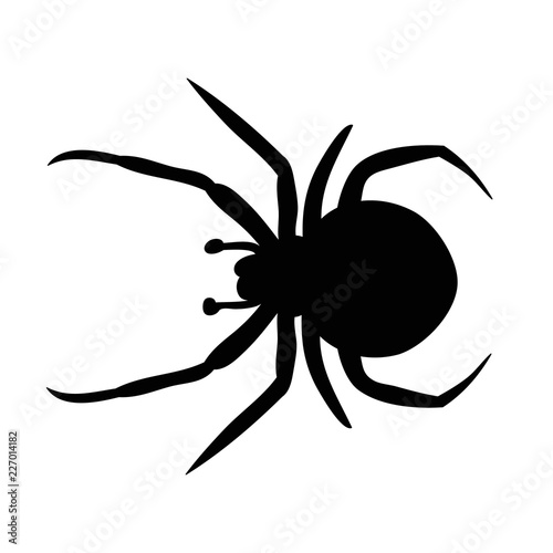 insect, spider silhouette