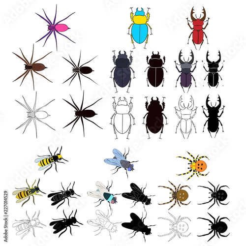 vector isolated set of beetles, sketch and silhouettes © zolotons
