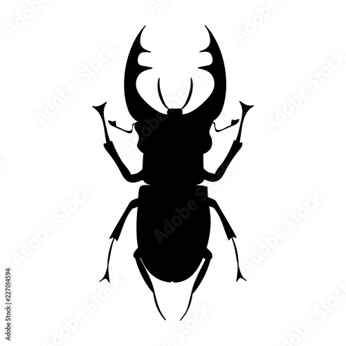 vector, isolated, silhouette insect bug