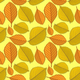 Seamless pattern with elm and beech autumn leaves. Vector illustration.