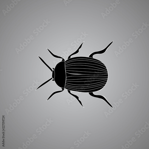 vector, isolated, insect, beetle icon