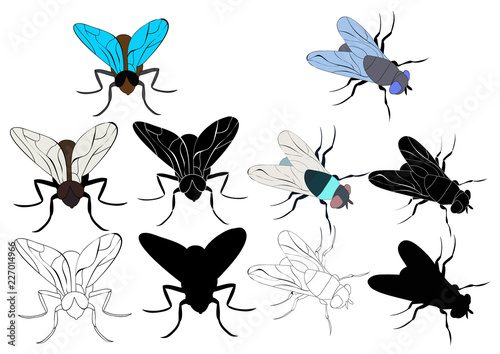 insect fly, set