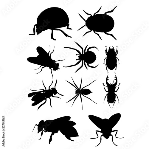 vector  isolated  set silhouette insects