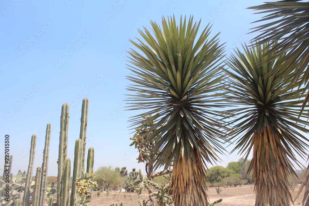 Fototapeta premium Ruins and city