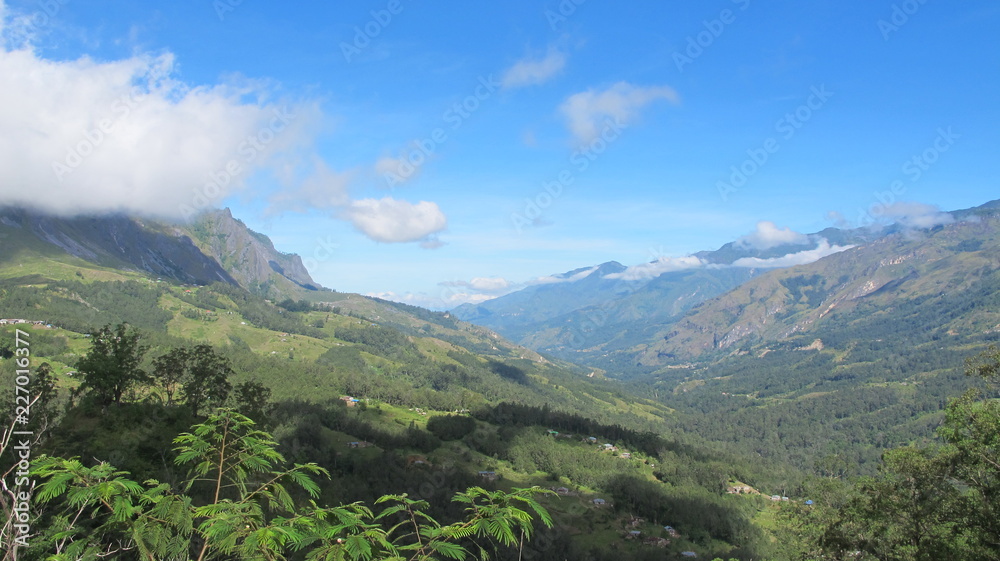 the hills of Timor Leste