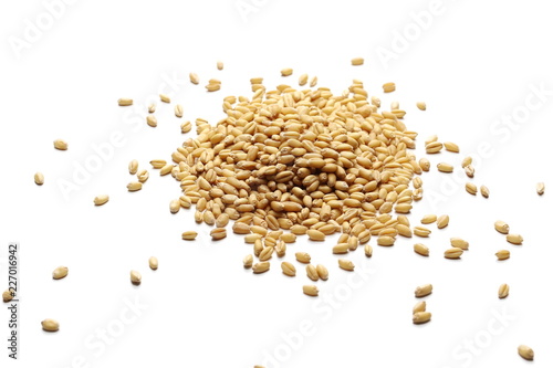 Wheat grains, kernels isolated on white background