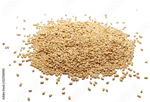 Wheat grains, kernels isolated on white background