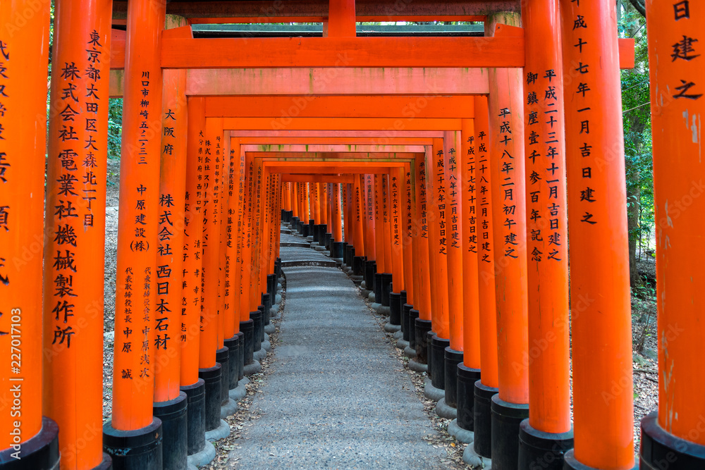 red torii gate of fushimi inari in kyoto, Japan