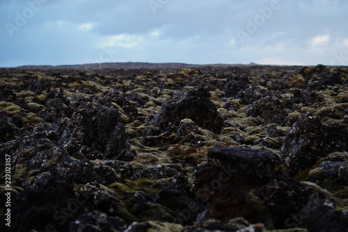 Feld mit Vulkangestein in Island © Katharina