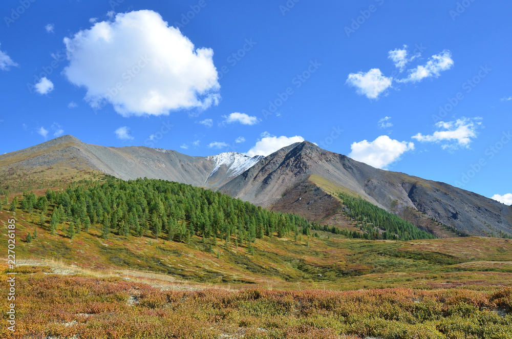 Russia, Republic of Altai, plateau Yoshtykyol in sunny day