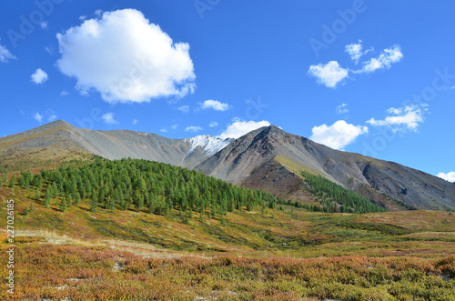 Russia, Republic of Altai, plateau Yoshtykyol in sunny day