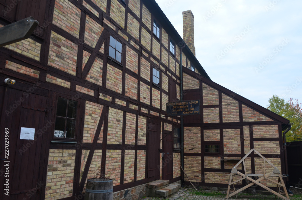 Obraz premium Autumn Colors Outdoor