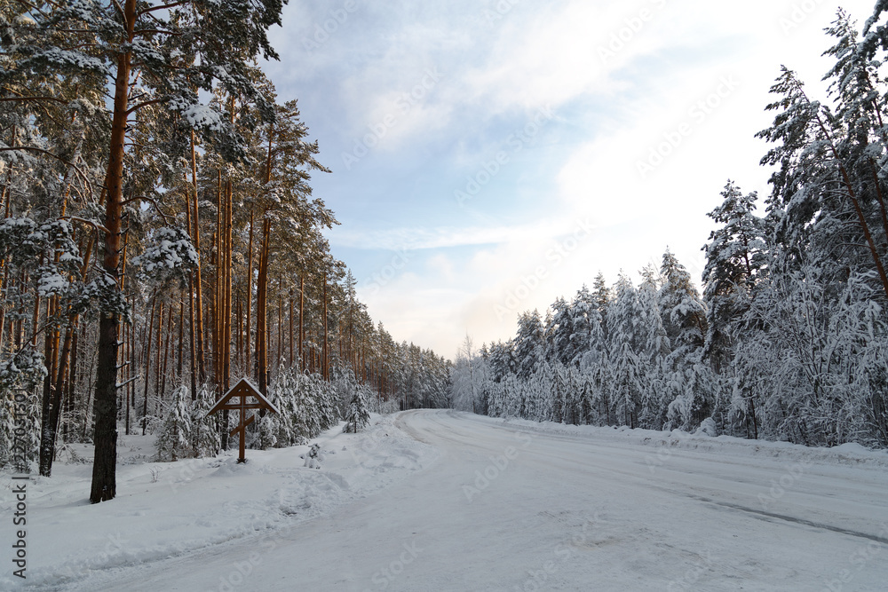 road in winter forest