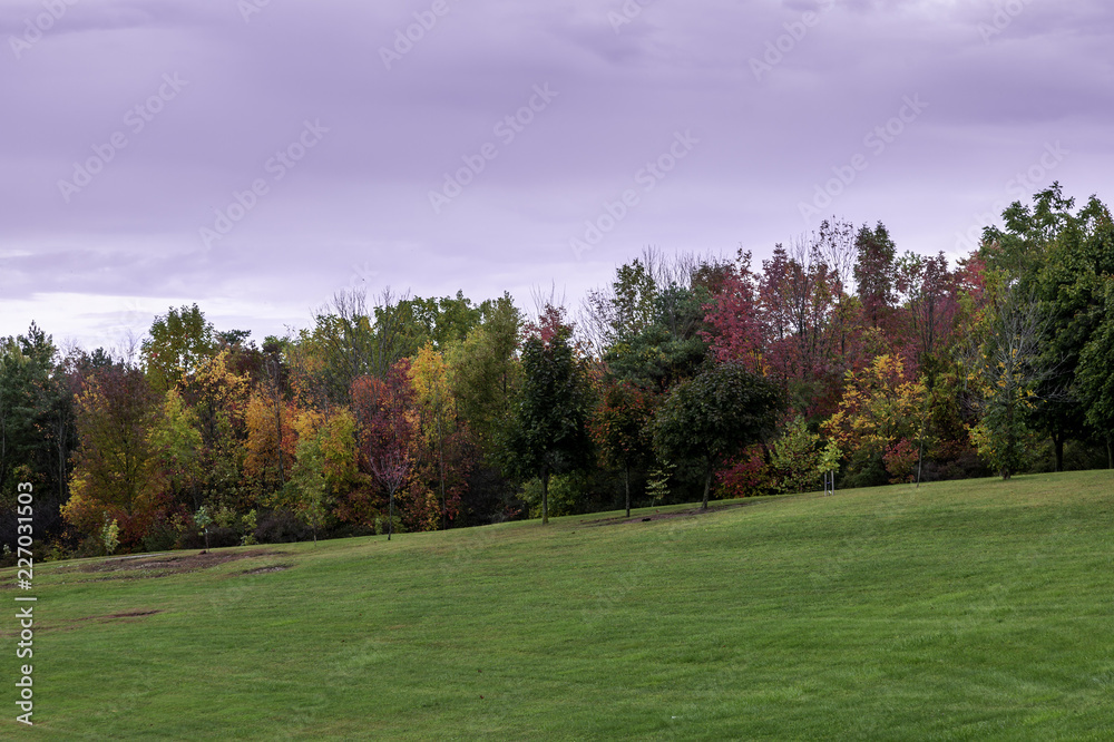 Autuminal Color Autuminal Color
