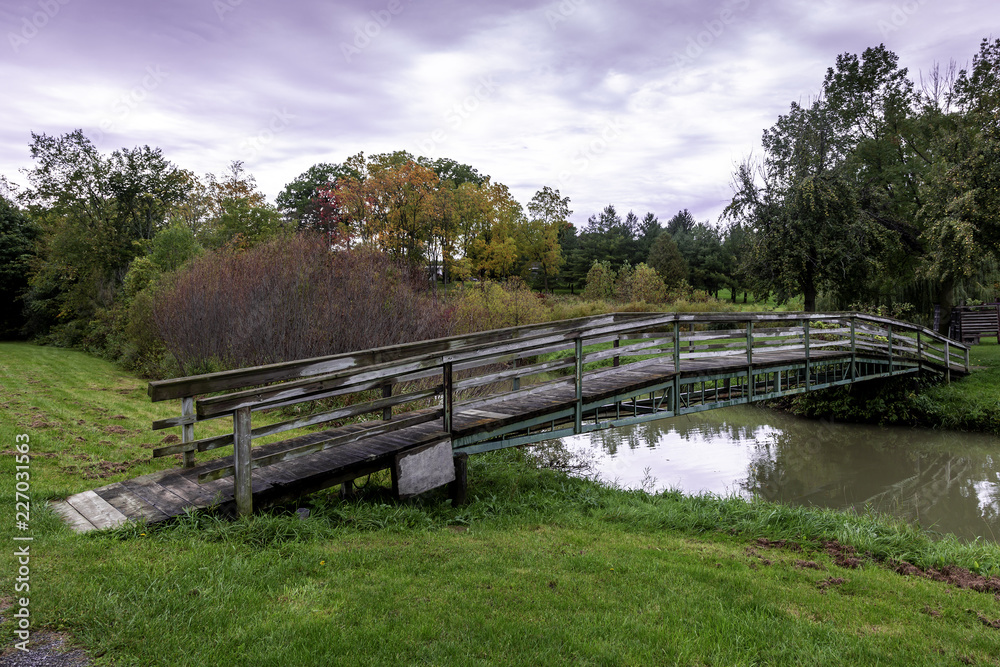 Scenic Walking Bridge