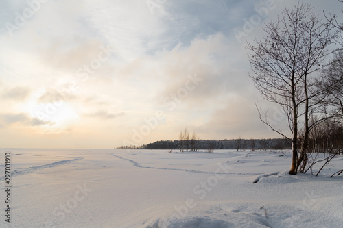 winter landscape with snowy trees and blue sky © Филипп Рабачев