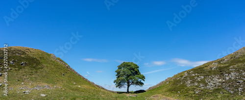 Obraz na płótnie Sycamore Gap