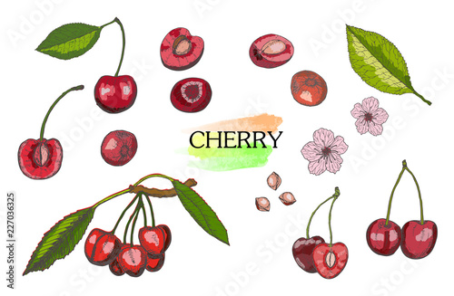 Hand drawn colored cherry set isolated on white background.